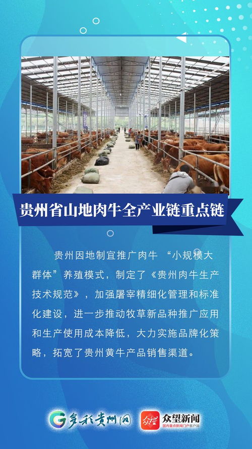 贵州一链两县入选全国农业全产业链重点链和典型县建设